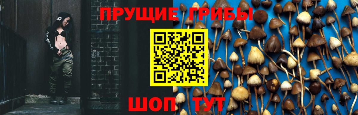Ухта  Галлюциногенные грибы прущие грибы  Вход с VPN  Галлюциногенные грибы прущие грибы 